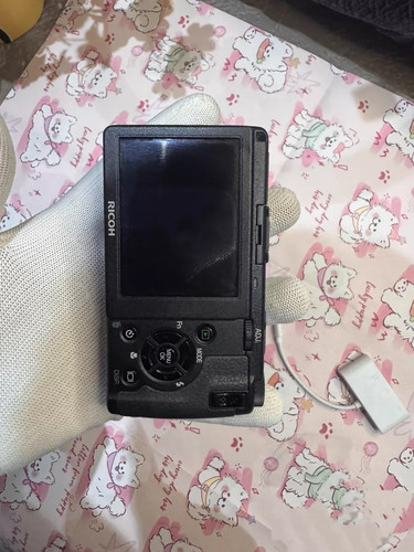 Ricoh digital 10 - ricoh,