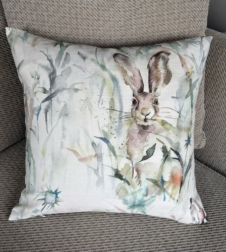 Jack rabbit hare double - /,