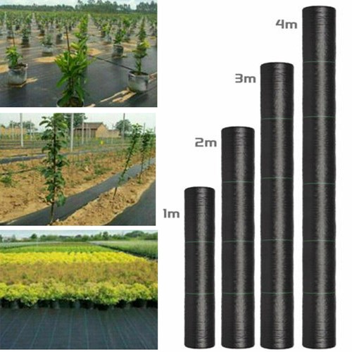 10m 25m 50m long - 50m, duty