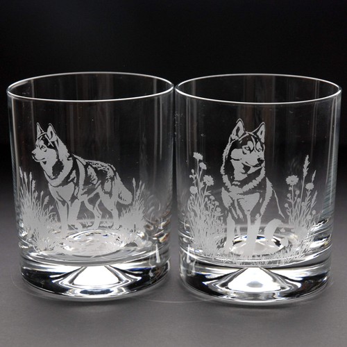Siberian husky dog whiskey - siberian,