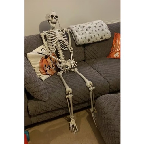 5ft life size - life, skeleton