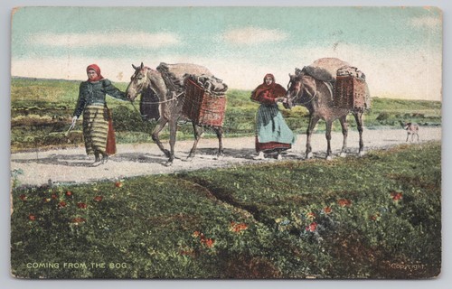 Coming from the bog - bog, women
