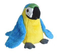 NEW BLUE MACAW PARROT WILD