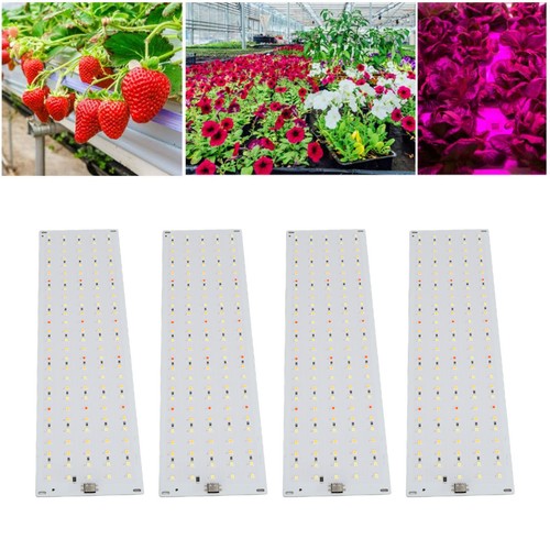 Cabinet plant grow light - plant,