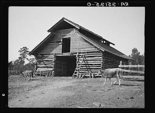 Photo walker county - photo:walker, alabama