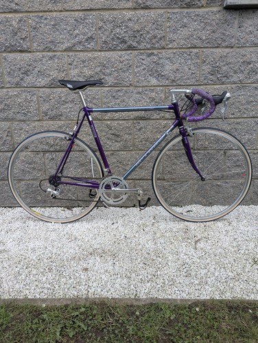 Raleigh trax 9000r - 9000r, retro