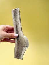 Split Wild Antler Dog Chews