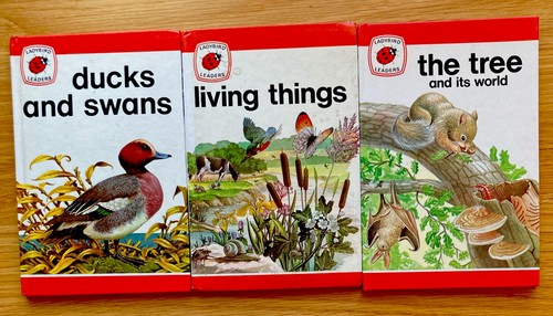 Ladybird leaders 737 - ‘leaders’,