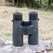 Vortex Triumph 10x42 HD