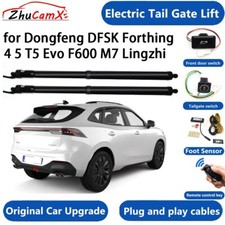 Electric Tail Gate Lift for