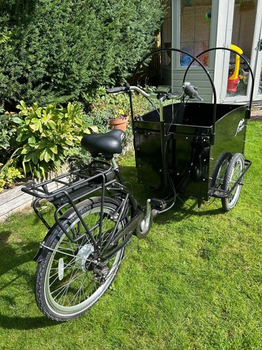 Cargo electric tricycle - cargo,