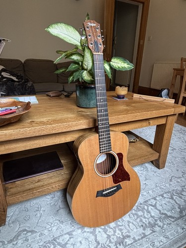 Taylor mini special - taylor,