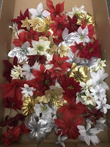 50x mix poinsettia - 50x,