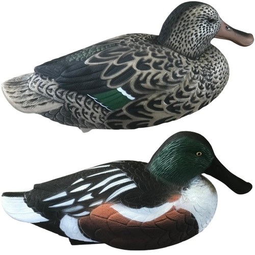 Shoveller duck decoy floating - duck,