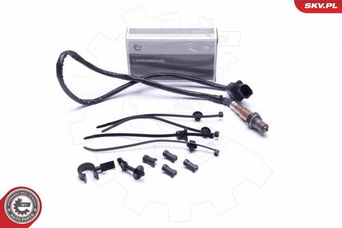 Oxygen sensor esen - sensor,