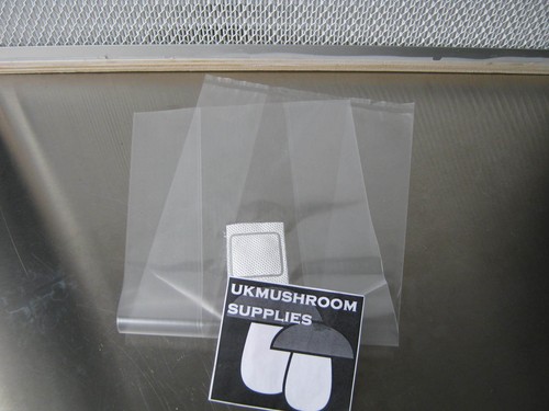 Mushroom substrate spawn - mushroom,