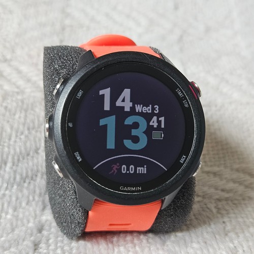 Garmin forerunner 245 red - forerunner,
