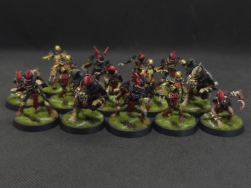 Blood bowl pro - painted, undead