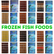 Frozen Fish Food Tropical