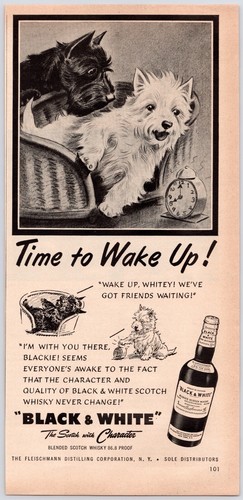1950 black white scotch - 1950~black,