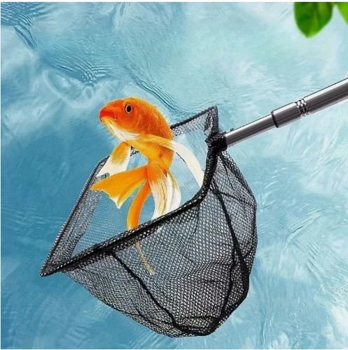 Pond net catch - net,