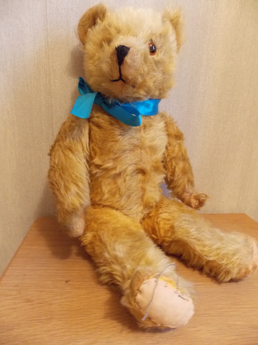 Vintage pedigree teddy - teddy, bear