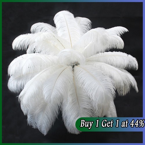 10pcs pack large ostrich - 10pcs/pack,