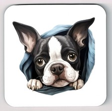 Peeking Peeping  Boston