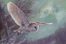 Barn Owl in Flight, Christmas cards pack of 10 by John Trickett C587X
