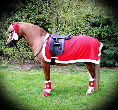 Santa horse pony - horse,