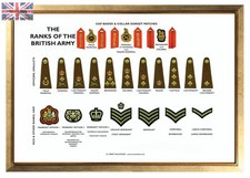Large A3 Ranks of the British