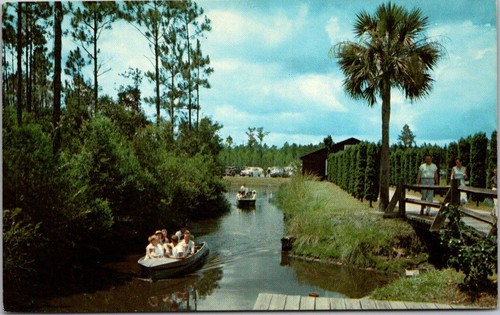 Okefenokee swamp park waycross - okefenokee,