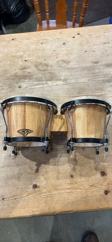 Bongo drums percussion - cp,