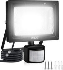 CLY 20W Security Light Outdoor