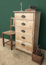 Tall rustic pine - tall,