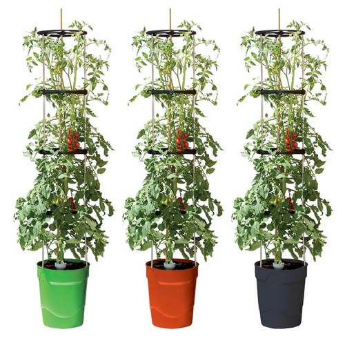 Garland self watering - garland, plant