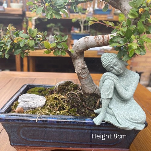Mini buddha ornament bonsai - mini,