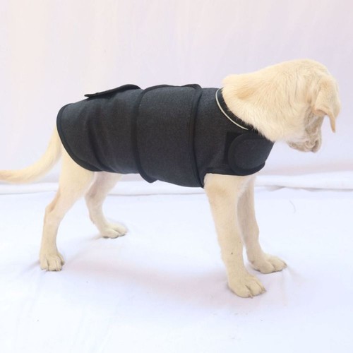 Soothing pet emotions dog - soothing,