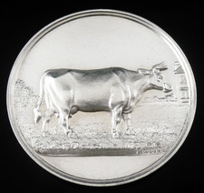 Sterling Silver Houston