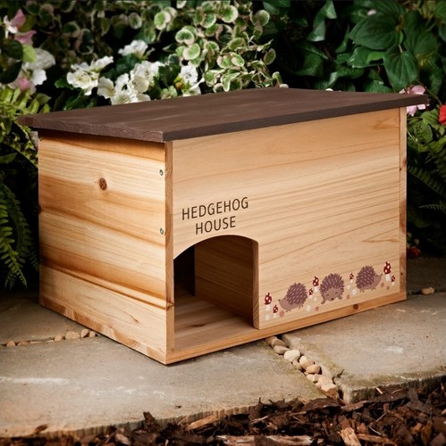 45cm wooden hedgehog - hedgehog, house
