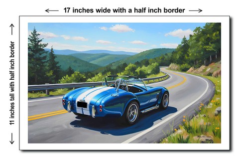 1965 shelby cobra - 1965, 11x17