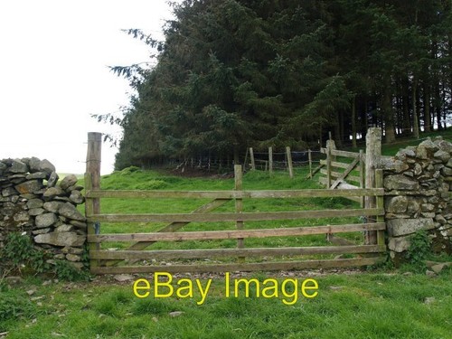 Photo 6x4 gate - photo, plantation