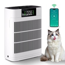 New Air Purifiers For Large