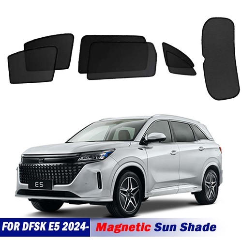 New magnetic sun - new,