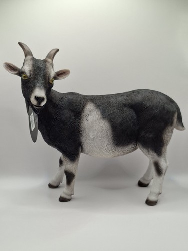 Vivid arts real life goat - vivid,
