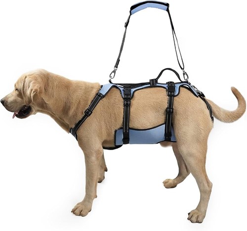 Coodeo dog lift harness full - lift,