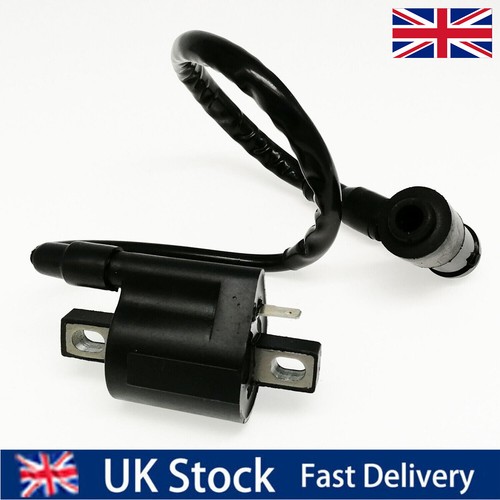 Ignition coil with spark plug