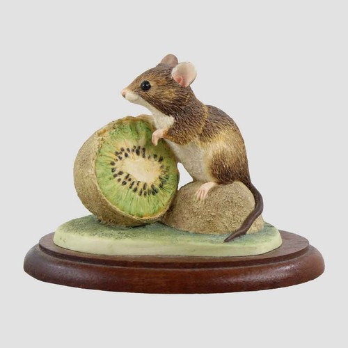 Mouse and kiwi - kiwi, border