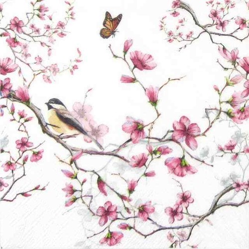 Single paper napkins - 4x,
