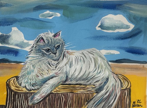Ragdoll kitten original - ragdoll,
